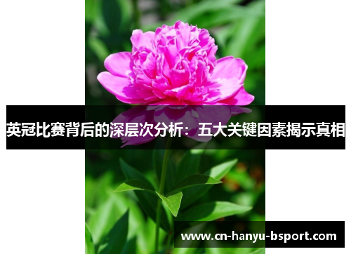 英冠比赛背后的深层次分析：五大关键因素揭示真相