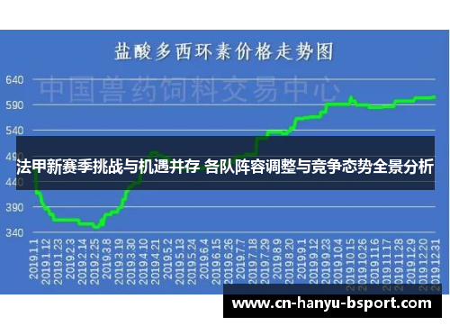 法甲新赛季挑战与机遇并存 各队阵容调整与竞争态势全景分析 法甲新赛季挑战与机遇并存 各队阵容调整与竞争态势全景分析