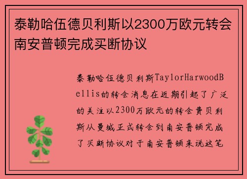 泰勒哈伍德贝利斯以2300万欧元转会南安普顿完成买断协议
